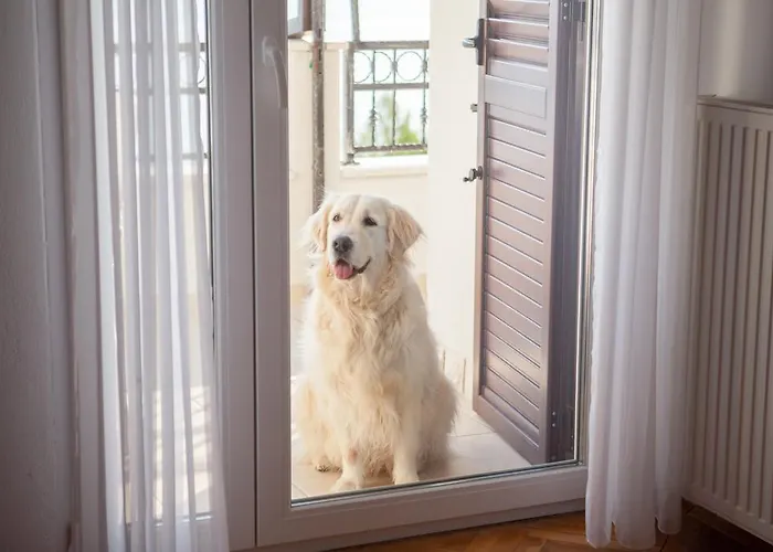 Appartement Panorama 2 *