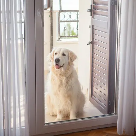 Apartment Panorama 2 *